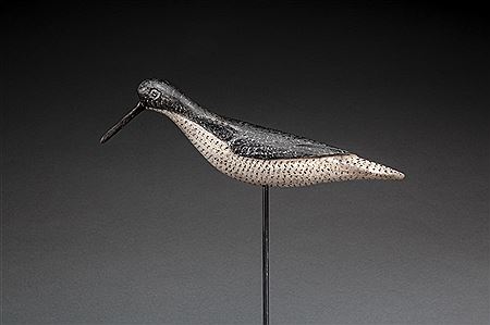 Greater Yellowlegs