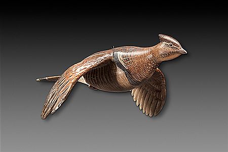 Flying Ruffed Grouse