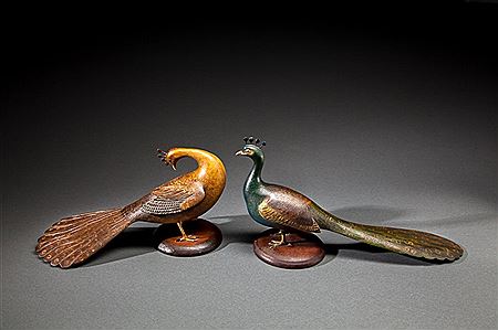 Peacock Pair