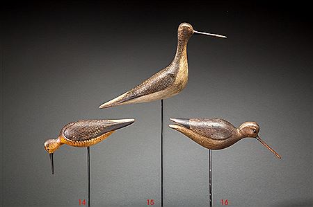 Greater Yellowlegs
