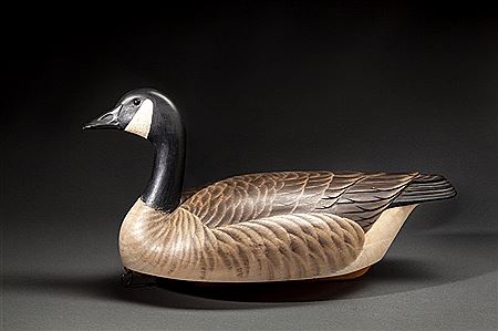 Canada Goose
