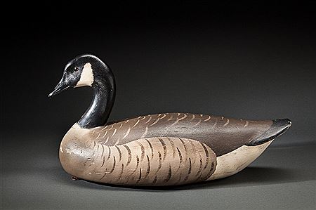 Canada Goose