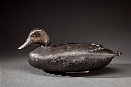 Black Duck