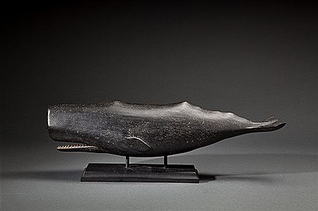 Rare Full-Bodied Sperm Whale
