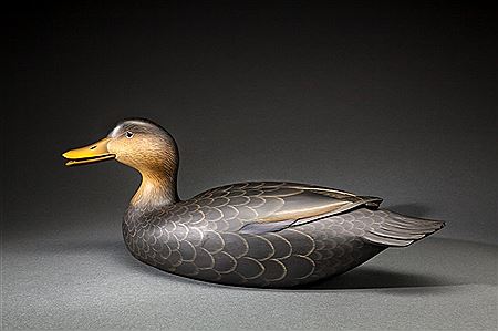 Calling Black Duck