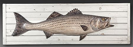 Striped Bass Plaque