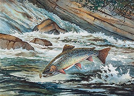 Leaping Brook Trout