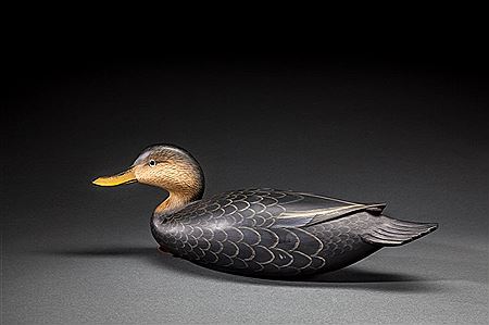 Black Duck