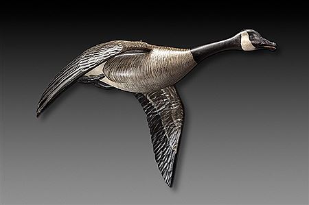 Flying Canada Goose