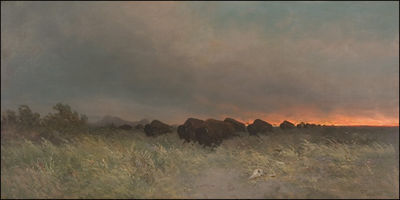 Buffalo Stampede-Prairie Fire