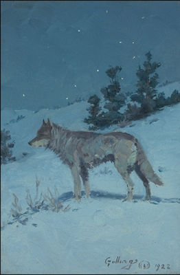 Wolf in Starlight