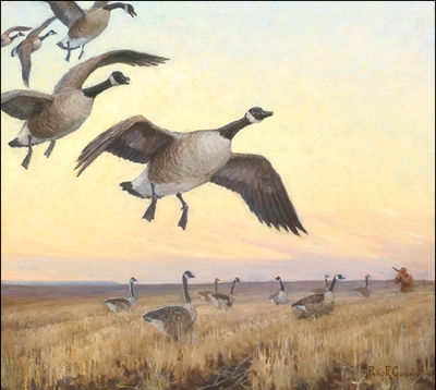 Goose Hunting