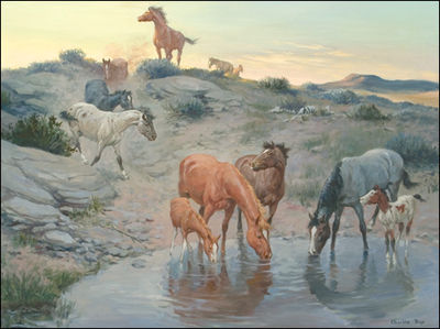 At the Waterhole