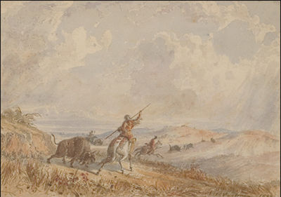 Buffalo Hunt
