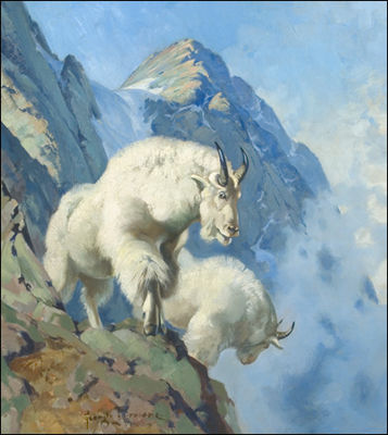 Goats