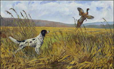 ROOSTER UP