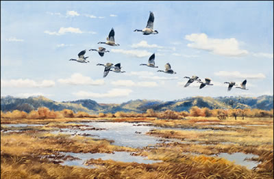 CANADIAN GEESE by Hugh Cecil Charles Monahan - Auction record, sale price, and art valuation. Compare with similar artists and explore comparable artworks.