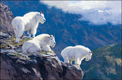 GOAT LEDGE by Ken Carlson - Auction record, sale price, and art valuation. Compare with similar artists and explore comparable artworks.