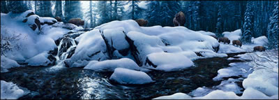 HIGH CREEK CROSSING