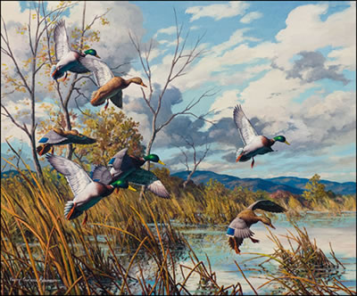MALLARDS