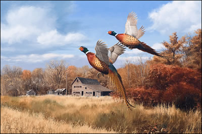 PHEASANTS