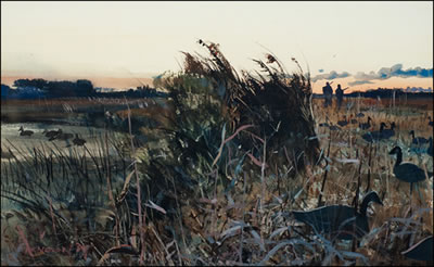 NOVEMBER AFTERNOON