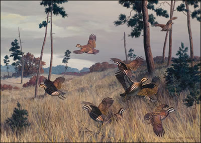 QUAIL COVEY