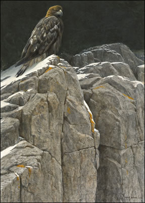 UPON THE CRAG-GOLDEN EAGLE