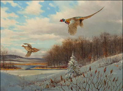 BACK TO COVER-PHEASANTS
