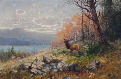ELK IN FALL LANDSCAPE
