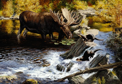 Moose and River Otter