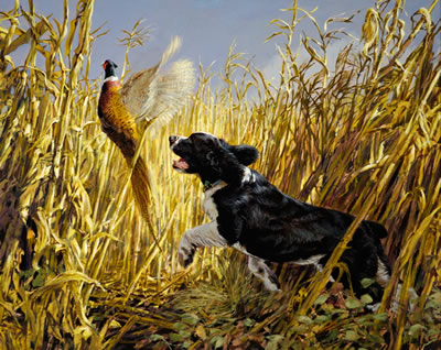 Spaniel and Pheasant