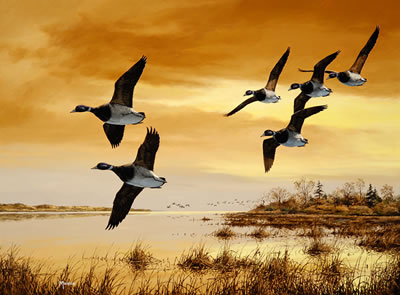 Sunrise Flight