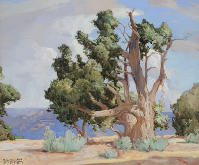 Cedar, Grand Canyon