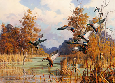 Autumn Sorcery - Mallards