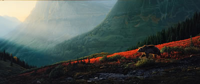 Crimson Cascade by Daniel (Dan) Smith - Auction record, sale price, and art valuation. Compare with similar artists and explore comparable artworks.