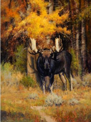 The Monarch of the Gros Ventre