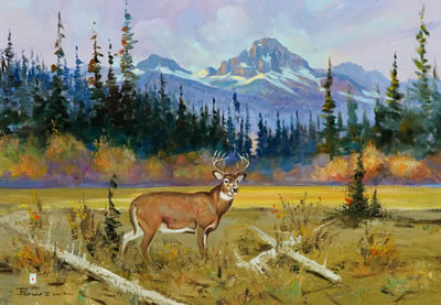 Glacier Park Deer