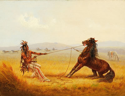 Wild Horse Catchers