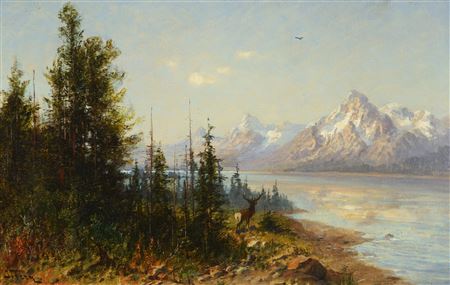 Jackson Lake Majesty, Wyoming