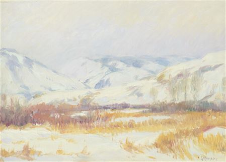 Winter in Crow Country