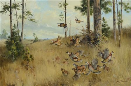 Under the Pines - Quail