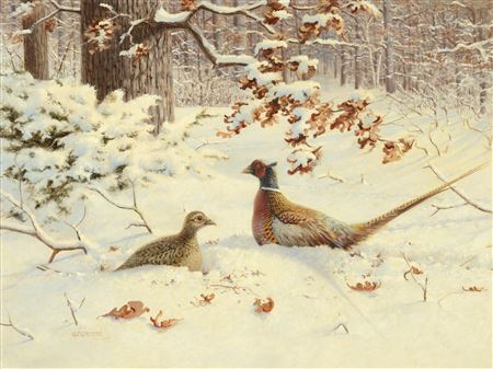 Pheasants