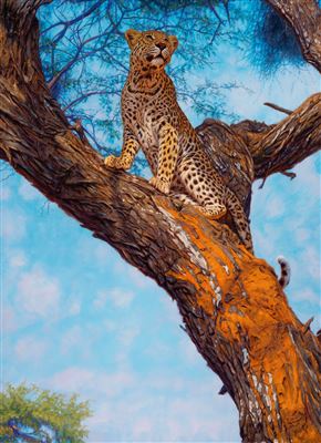 Approaching Masai (2013)