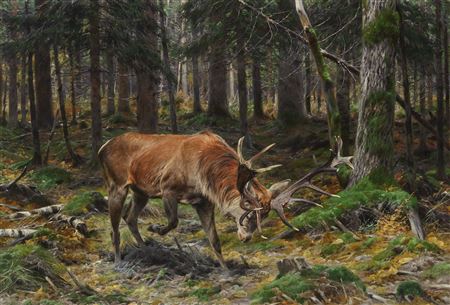 Deer in a Forest Glade (1912) by Richard Friese - Auction record, sale price, and art valuation. Compare with similar artists and explore comparable artworks.