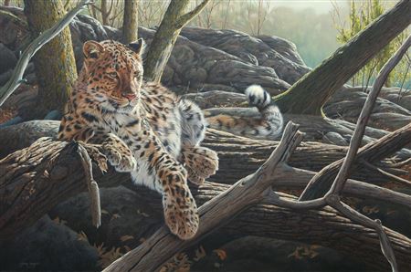 Artwork by Steve Burgess