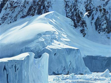 On the Graham Coast, Snow Petrel by Keith Hope Shackleton - Auction record, sale price, and art valuation. Compare with similar artists and explore comparable artworks.