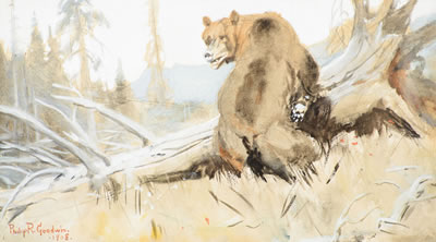 Bear (1908)