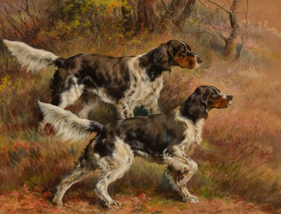 English Setters