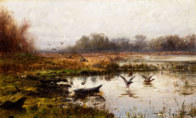 Mallards